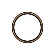 Pneumatici Schwalbe G-one All Perf. Tle Bronze